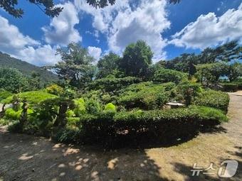 본문 이미지 - 2025 '곡성군 아름다운 경관상 공모전'에서 '은행나무농원 꽃이랑 나무랑'이 대상에 선정됐다(곡성군 제공) 