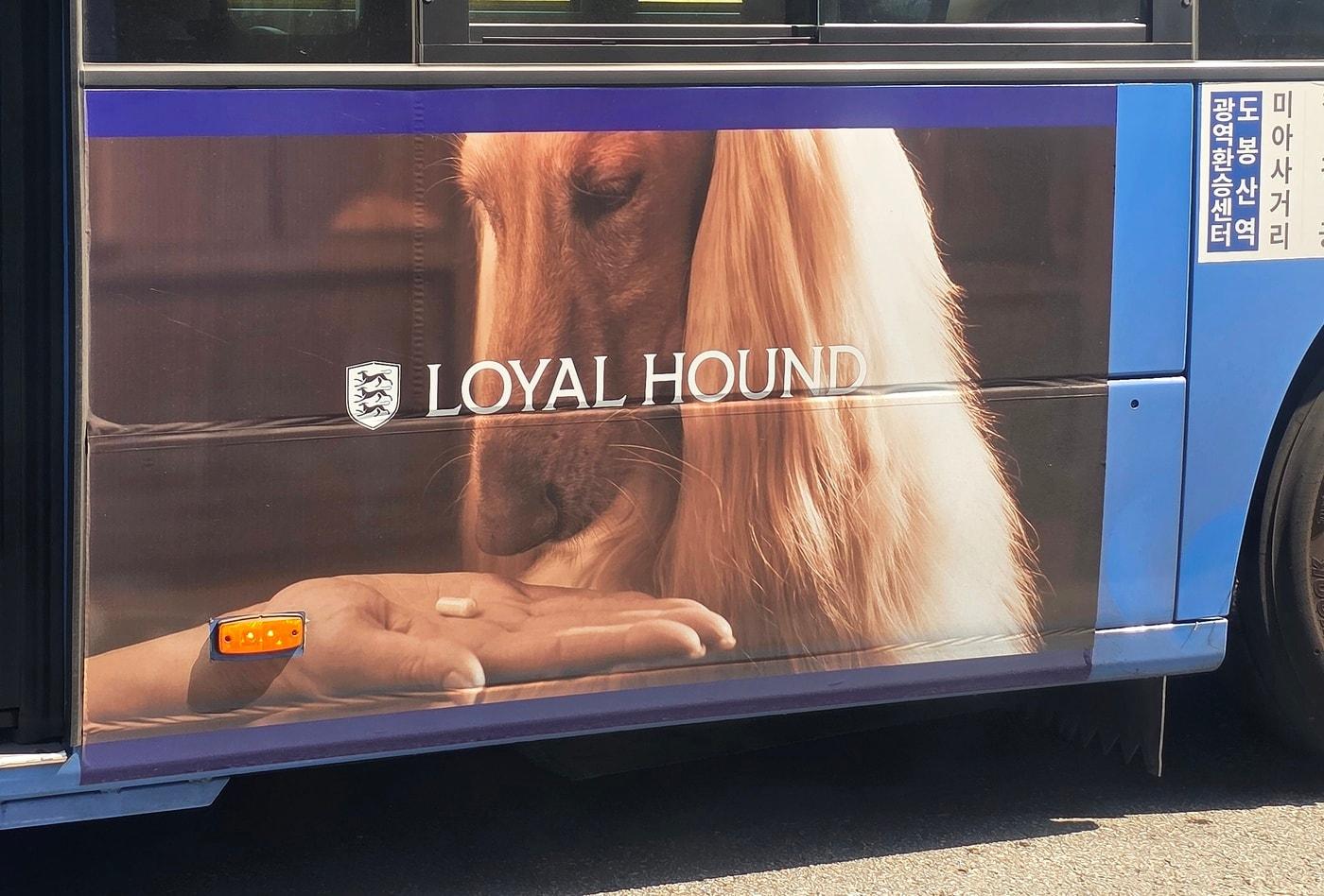 로얄하운드가 서울 시내버스 광고 중인 모습(독자 제공) ⓒ 뉴스1