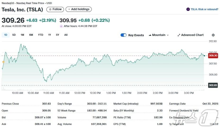 본문 이미지 - 테슬라 일일 주가추이 - 야후 파이낸스 갈무리