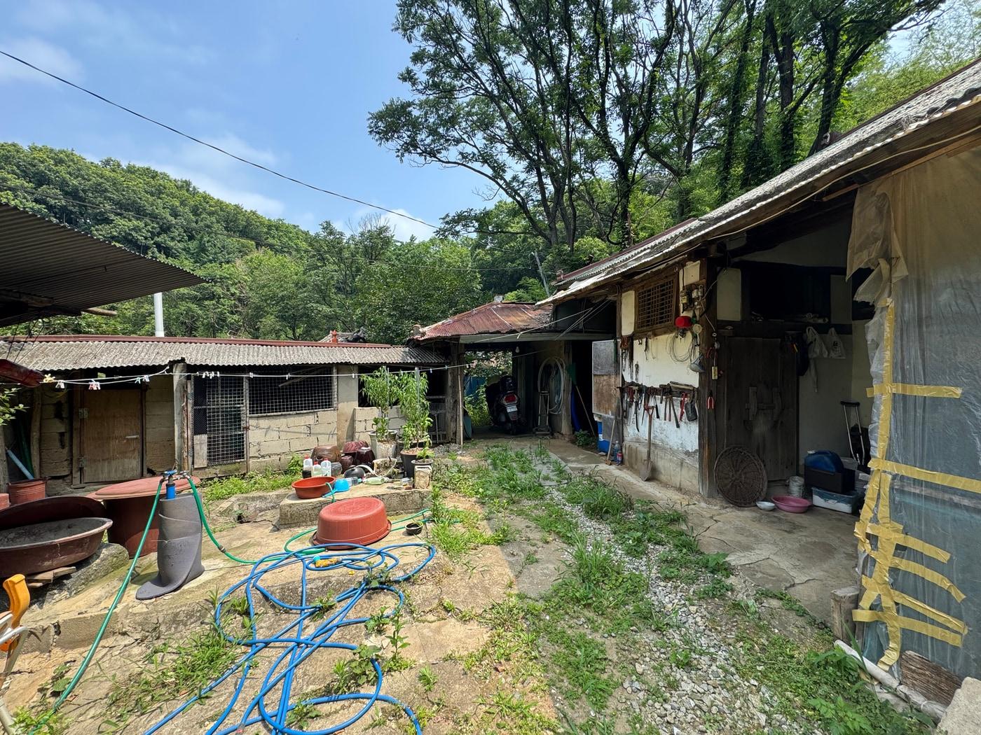 본문 이미지 - 치매를 앓는 70대 어르신이 살던 주택 모습.(충남도 제공. 재판매 및 DB금지)/뉴스1 