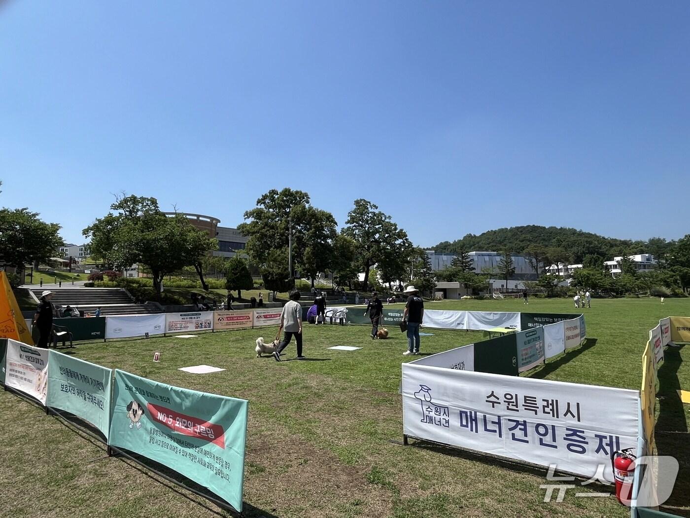 본문 이미지 - 경기 수원시 매너견 인증테스트. (수원시 제공. 재판매 및 DB 금지) 2025.8.5/뉴스1