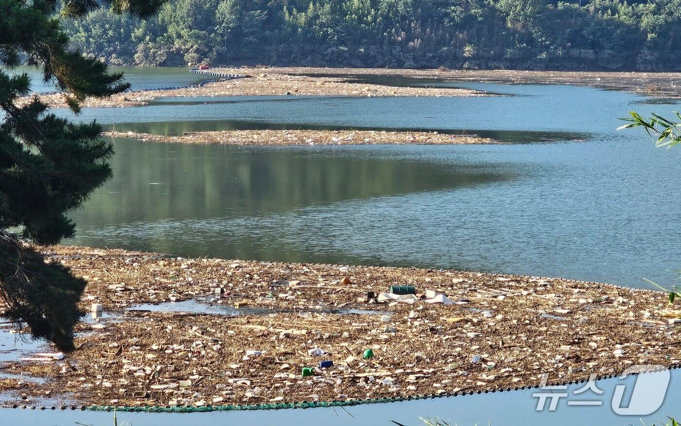 진주 진양호에 떠내려온 부유물. 2025.8.5/뉴스1 한송학기자