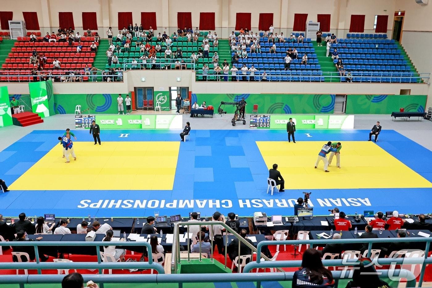 충북 괴선서 열린 '14회 괴산 아시아 크라쉬 선수권대회' 모습.(괴산군 제공, 재판매 및 DB금지)/뉴스1