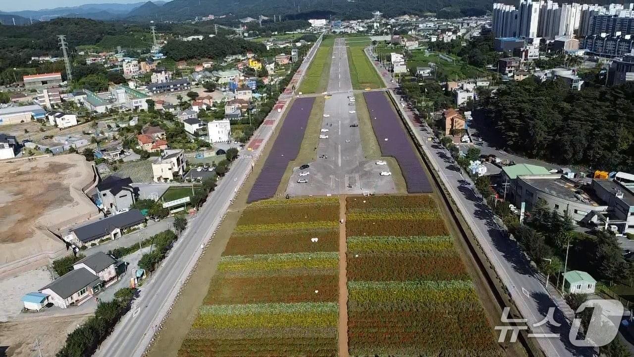 본문 이미지 -  제천 모산비행장.(제천시 제공. 재판매 및 DB금지)/뉴스1