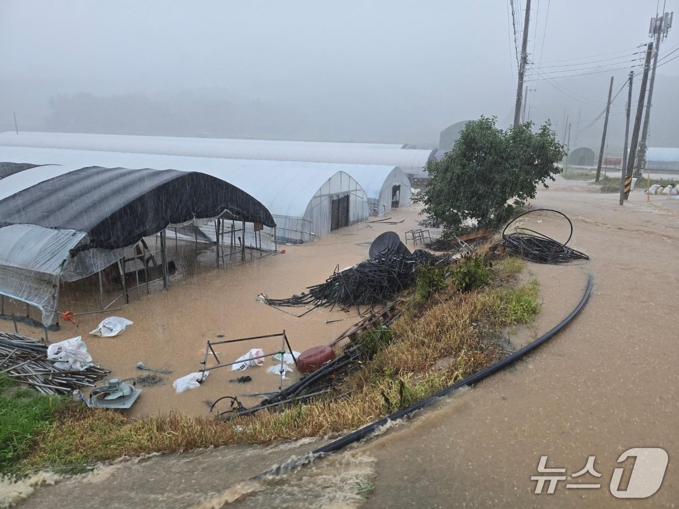 본문 이미지 - 진주시 수곡면 비닐하우스 단지가 지난달 19일 집중호우에 침수됐다. 2025.7.19/뉴스1 한송학기자