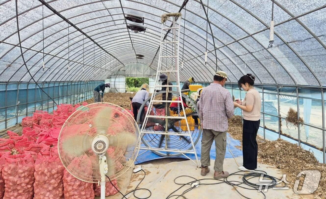 본문 이미지 - 지난 6월 30일 계절근로자 투입 농가에서 진행된 현장점검 모습. (태안군 제공. 재판매 및 DB금지)2025.8.6/뉴스1