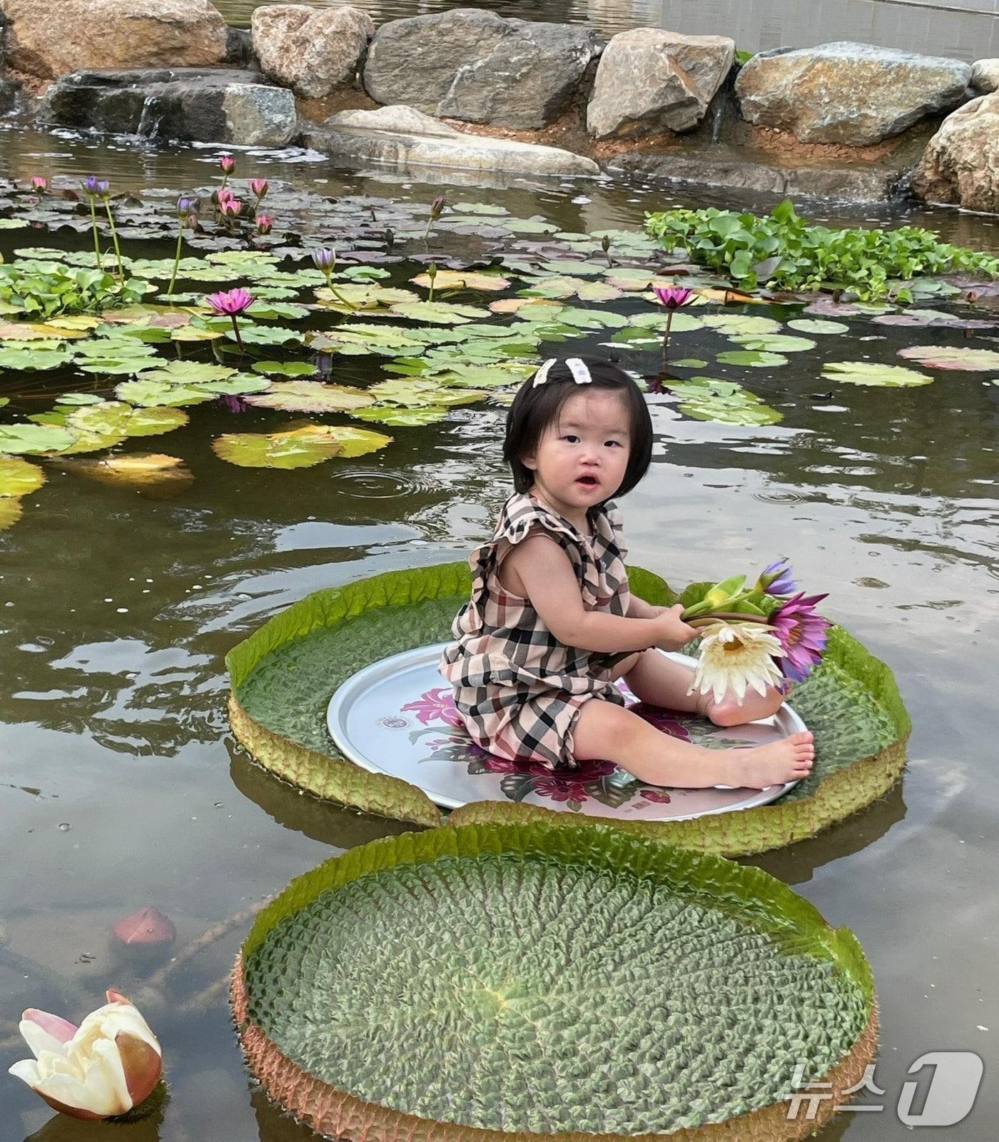 본문 이미지 - 빅토리아 수련잎에 앉은 어린아이(한국수목원정원관리원 제공.재판매 및 DB금지) /뉴스1