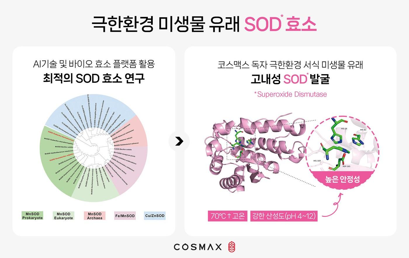 코스맥스차이나는 극한환경에 서식하는 미생물에서 항산화 효소인 SOD(Superoxide Dismutase)를 찾아내고, 이를 안정화하는 기술을 확보했다.(코스맥스제공)
