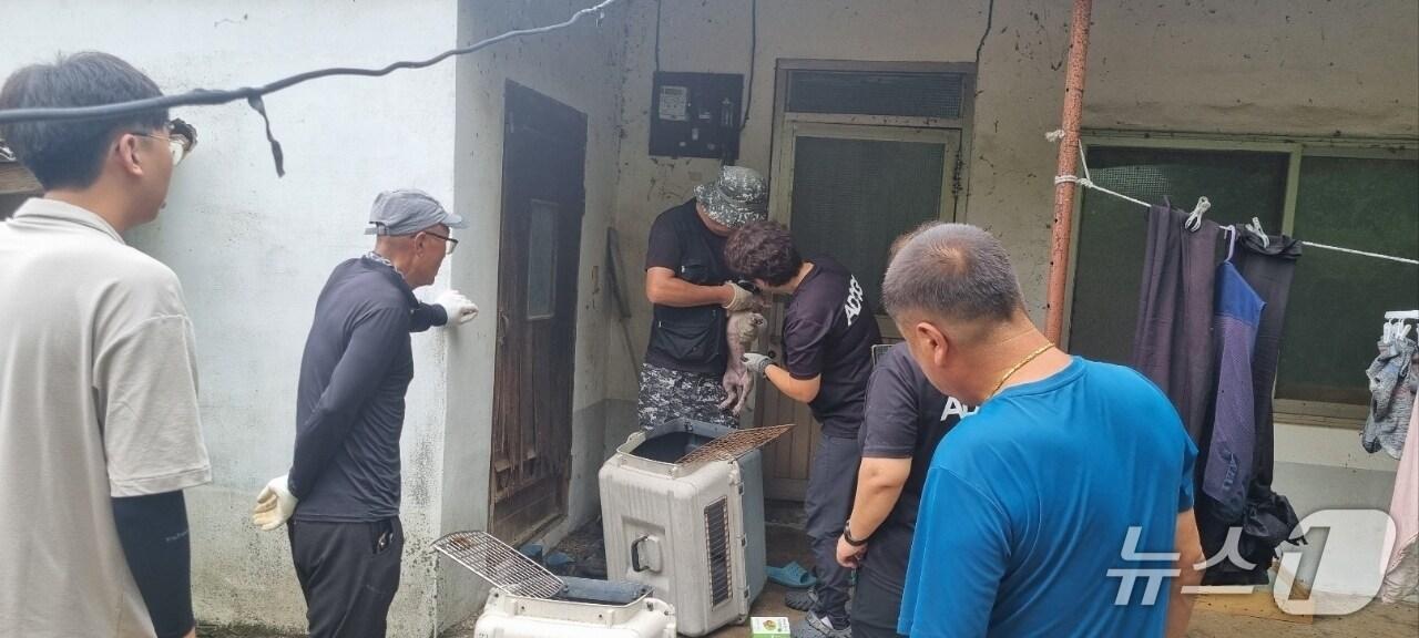 본문 이미지 - 김제시 유기동물보호센터가 피부병을 앓던 유기견을 구조하고 있다.(김제시 제공, 재판매 및 DB 금지)