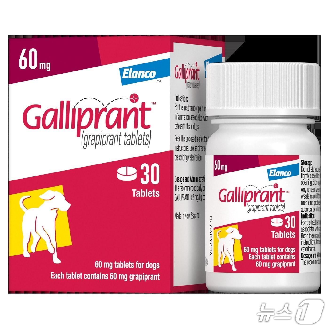 본문 이미지 - 반려견 골관절염 신약(엘랑코 제공) ⓒ 뉴스1