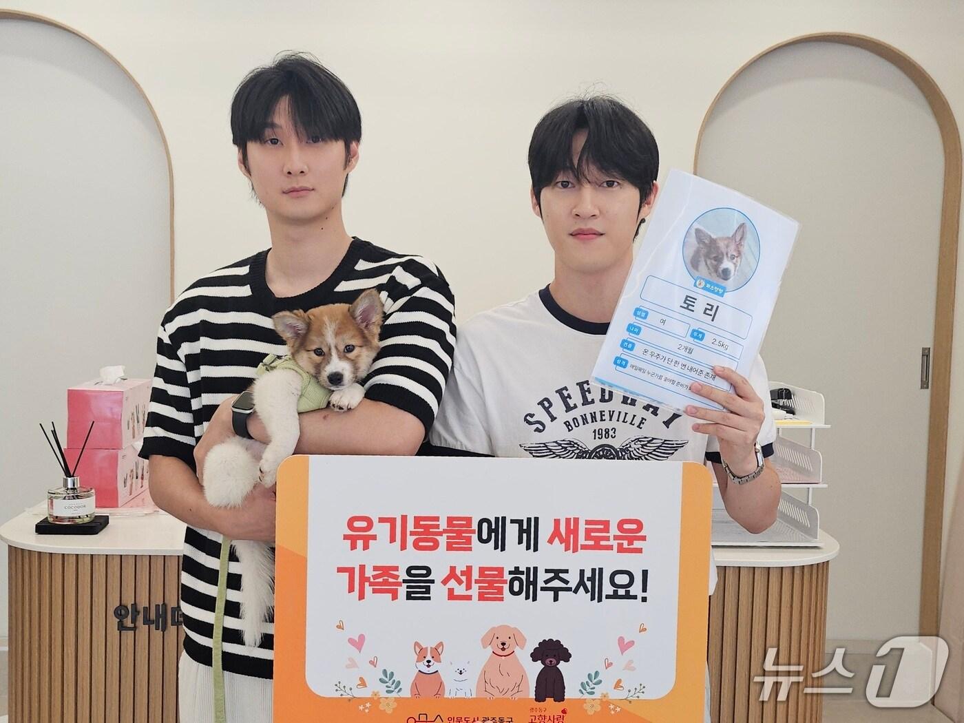 본문 이미지 - 피스멍멍 입양견 토리.&#40;광주 동구 제공. 재판매 및 DB 금지&#41;