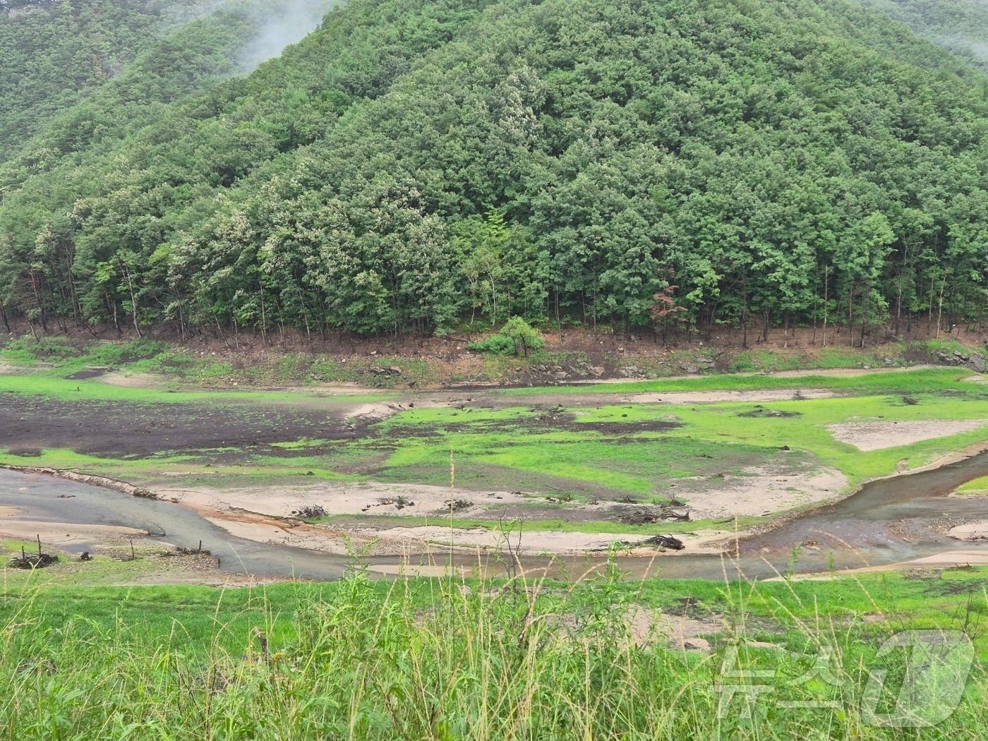 본문 이미지 - 지난 6일 오후 강원 강릉시 성산면 오봉리 오봉저수지 일대. 이날 강수에도 불구하고 저수지 수위가 여전히 낮고, 인근 하천의 유량도 크게 늘지 않은 모습이다.  2025.8.6/뉴스 2025.8.6/뉴스1 ⓒ News1 윤왕근 기자
