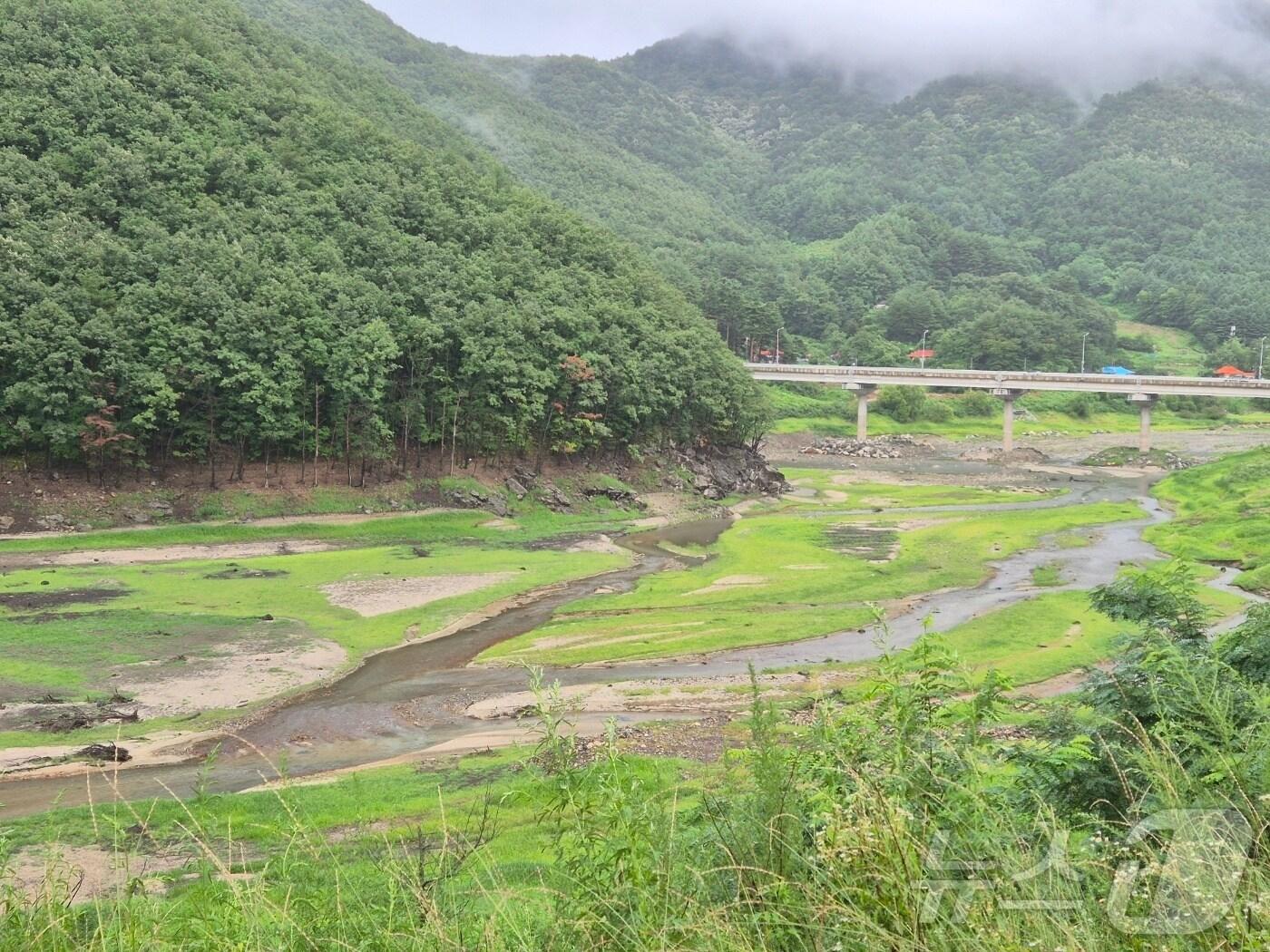 본문 이미지 - 6일 오후 강원 강릉시 성산면 오봉리 오봉저수지 일대. 이날 강수에도 불구하고 저수율은 28.3%로, 전날(28.9%)보다 떨어졌다. 2025.8.6/뉴스 2025.8.6/뉴스1 ⓒ News1 윤왕근 기자
