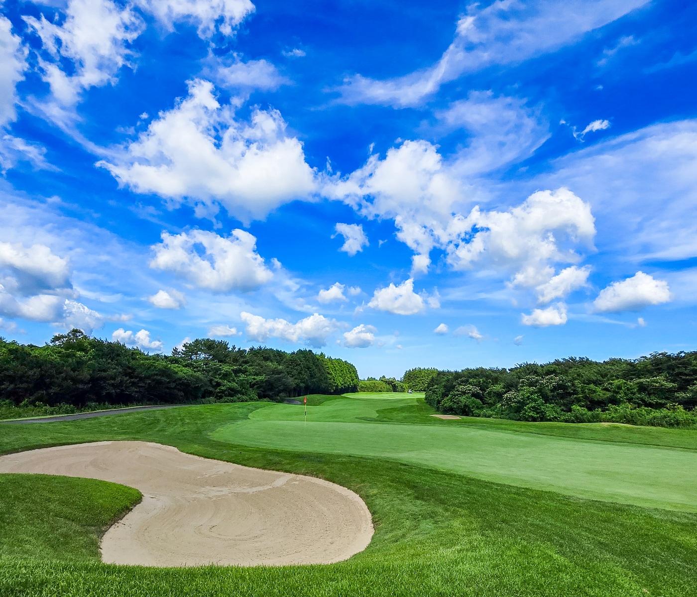 본문 이미지 - 16년 만에 KLPGA 정규 대회가 열리는 제주 서귀포시 사이프러스 골프 앤 리조트. &#40;사이프러스 골프 앤 리조트 홈페이지&#41;