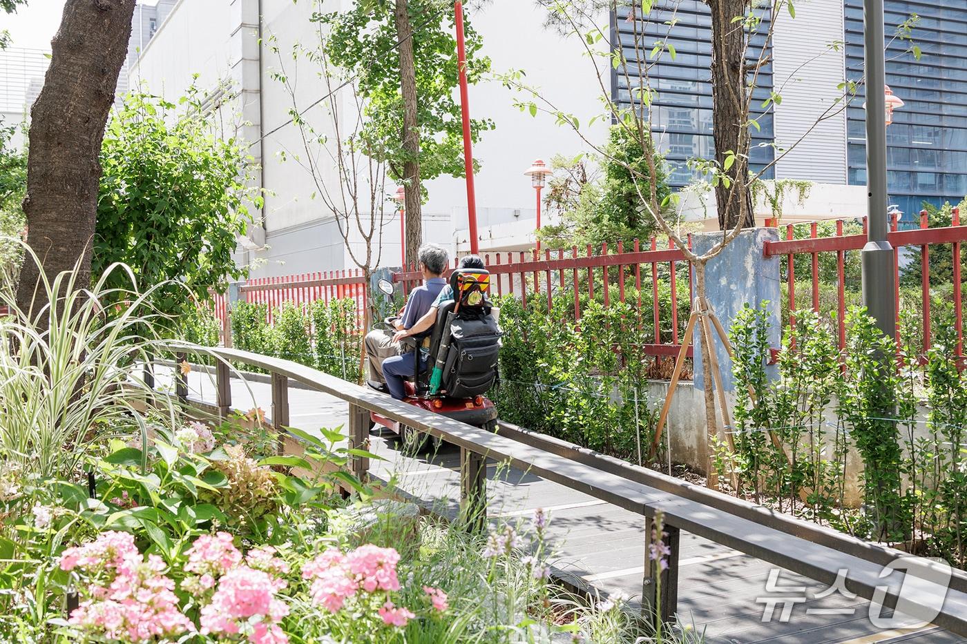 (서울 강서구 제공) 