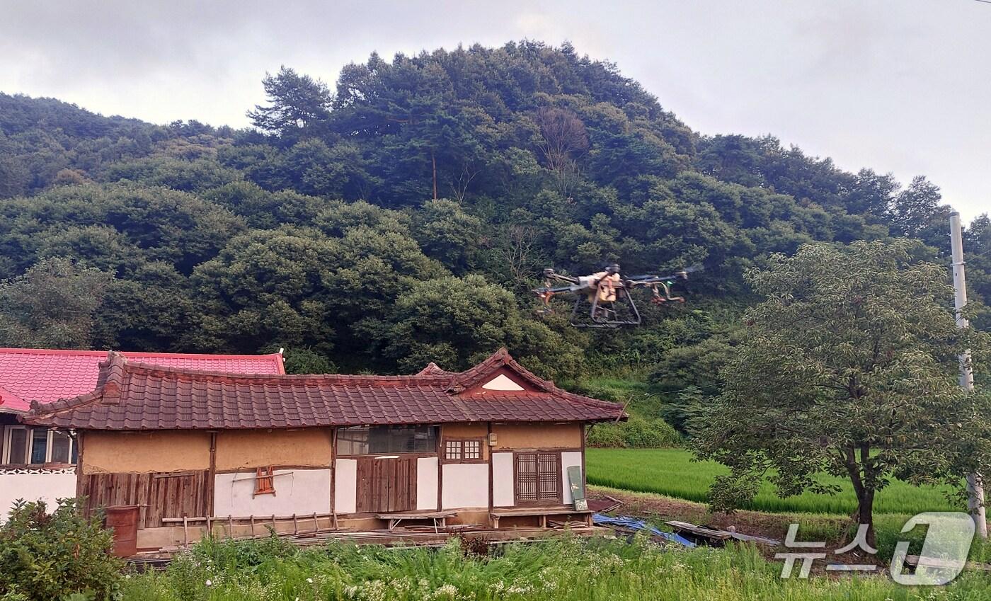 밤나무 드론방제 작업 모습. (예산군 제공. 재판매 및 DB금지)2025.8.7/뉴스1