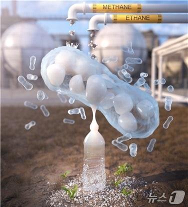 본문 이미지 - 연구 이미지&#40;KAIST 제공&#41; /뉴스1