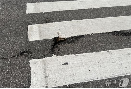 본문 이미지 - 횡단보도 갈라짐.(한국도로교통공단 제공. 재판매 및 DB금지)/뉴스1