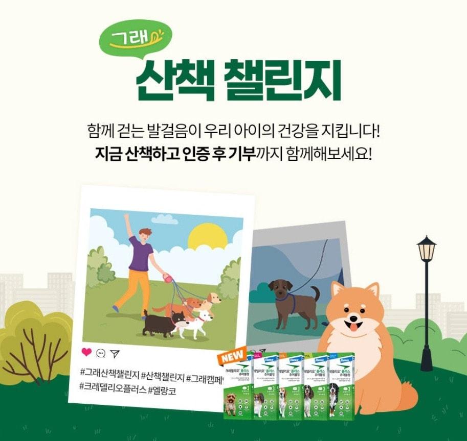 본문 이미지 - 산책 챌린지(엘랑코 제공) ⓒ 뉴스1