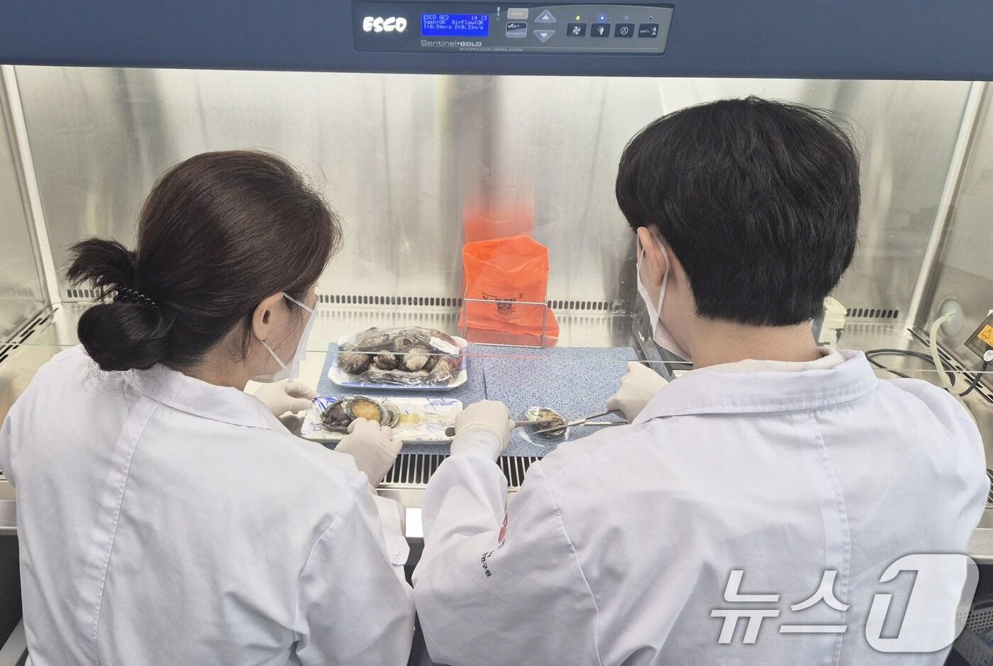 광주시 보건환경연구원 수산물 병원성 비브리오균 검사.(광주시 제공. 재판매 및 DB 금지) 