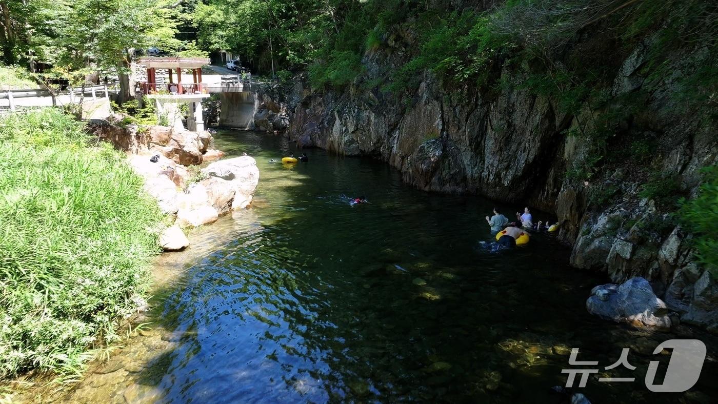 충북 영동군 상촌면 물한계곡을 찾은 피서객들이 즐거운 한때를 보내고 있다. &#40;영동군 제공, 재판매 및 DB금지&#41; /뉴스1 