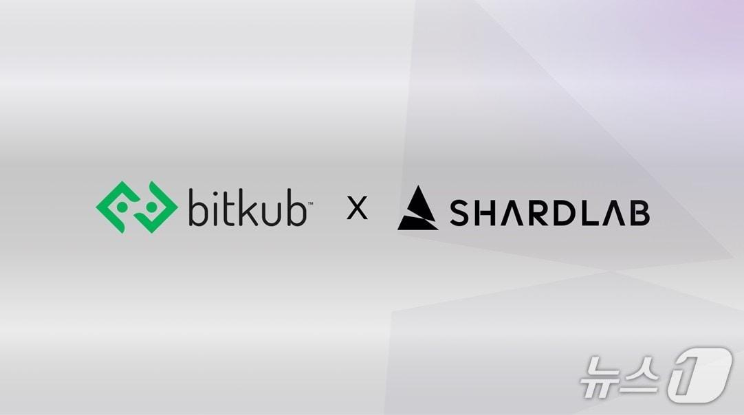 본문 이미지 - (샤드랩 제공.) 