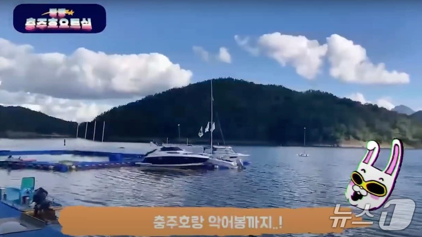 2023 건국대학교 글로컬캠퍼스 지역개발디자인 졸업작품 캡처.&#40;재판매 및 DB금지&#41;/뉴스1