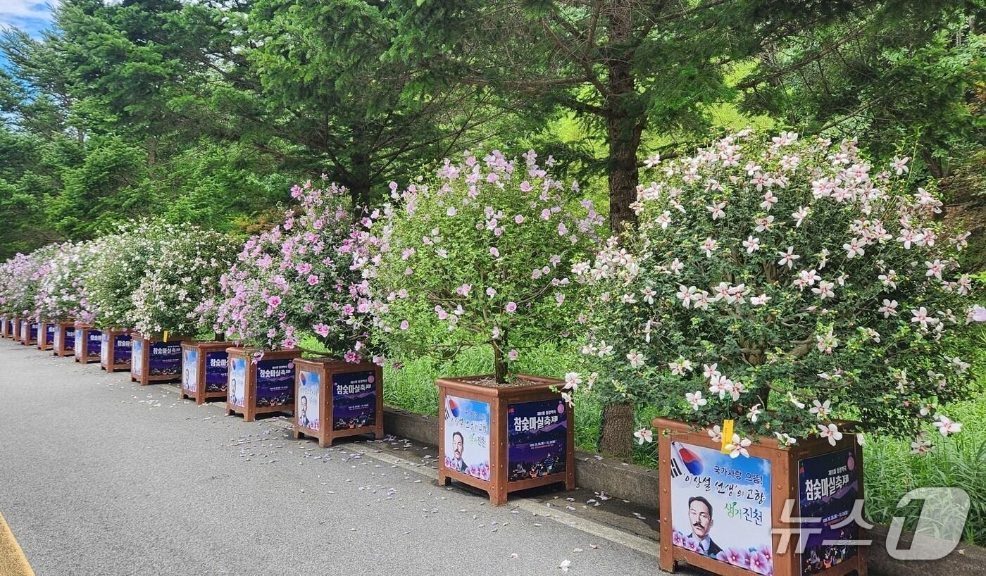 충북 진천군이 충북도가 주최한 '2025년 우리꽃 무궁화 우수 분화 품평회'에서 단체전 금상, 개인전 최우수상을 수상했다.(진천군 제공, 재판매 및 DB금지)/뉴스1