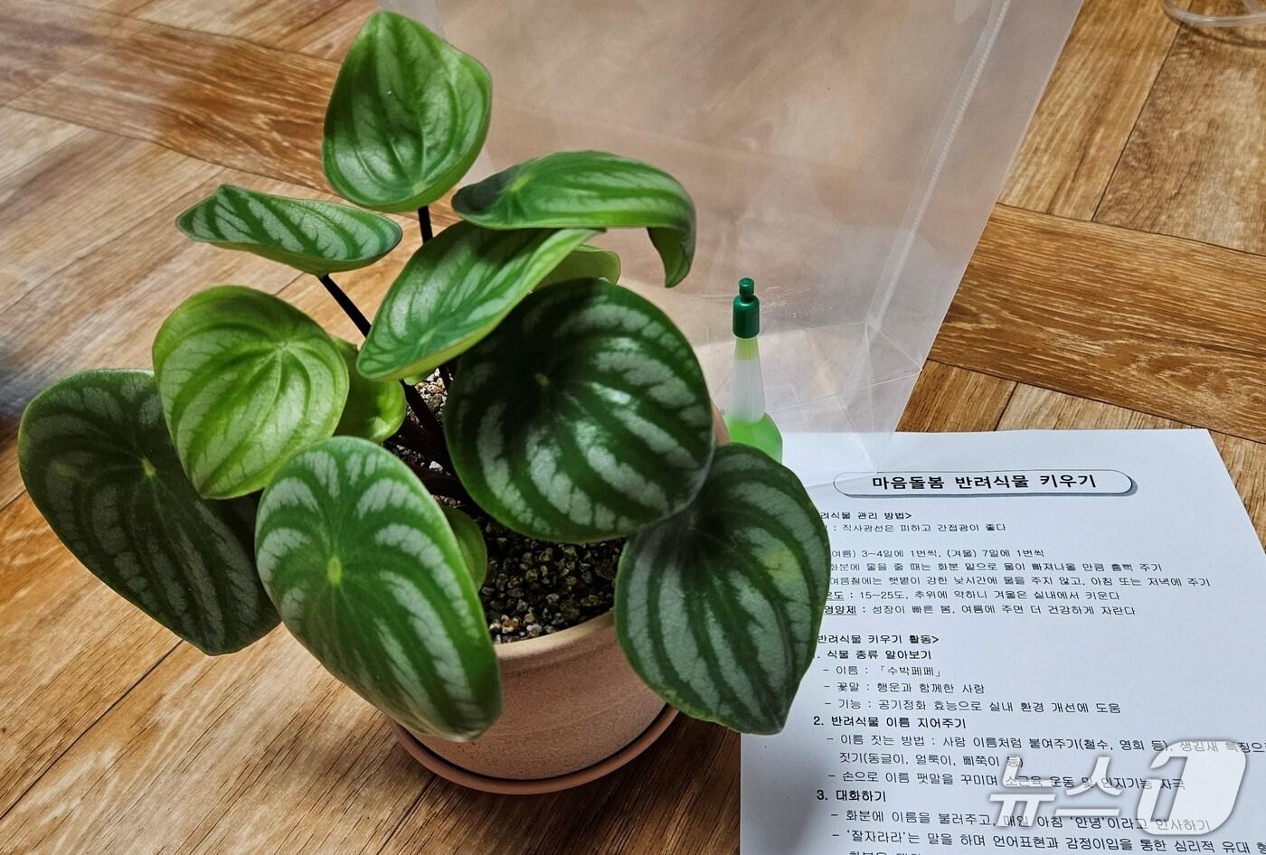 충북 증평군보건소 치매안심센터는 홀로 사는 치매 어르신들의 마음을 돌보기 위해 반려식물을 지원한다.(증평군 제공)/뉴스1