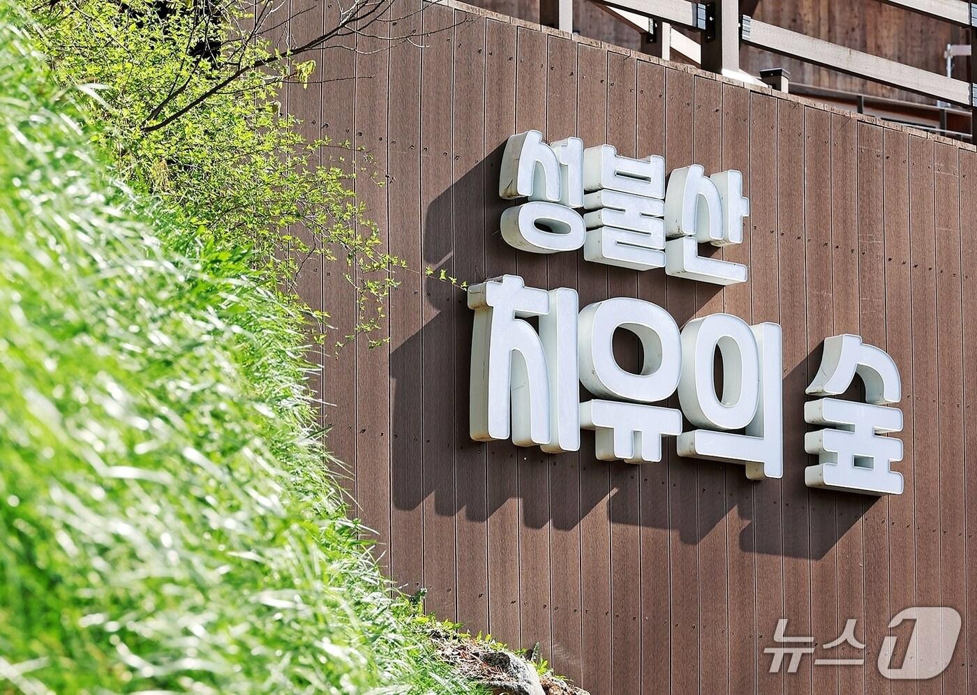 괴산 성불산 자연휴양림 치유의숲/뉴스1