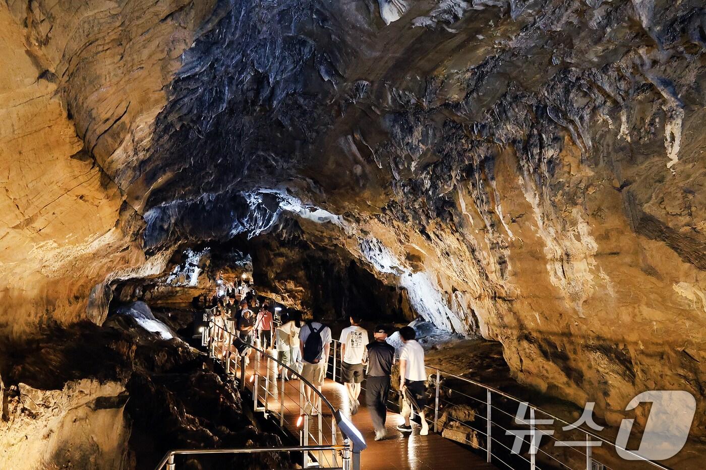 지난 7일 강원 평창군 대화면 땀띠공원 일원에서 열린 &#39;2025 평창더위사냥축제&#39;를 찾은 방문객들이 광천선굴을 찾아 무더위를 식히고 있다. &#40;평창군 제공. 재판매 및 DB 금지&#41; 2025.8.7/뉴스1