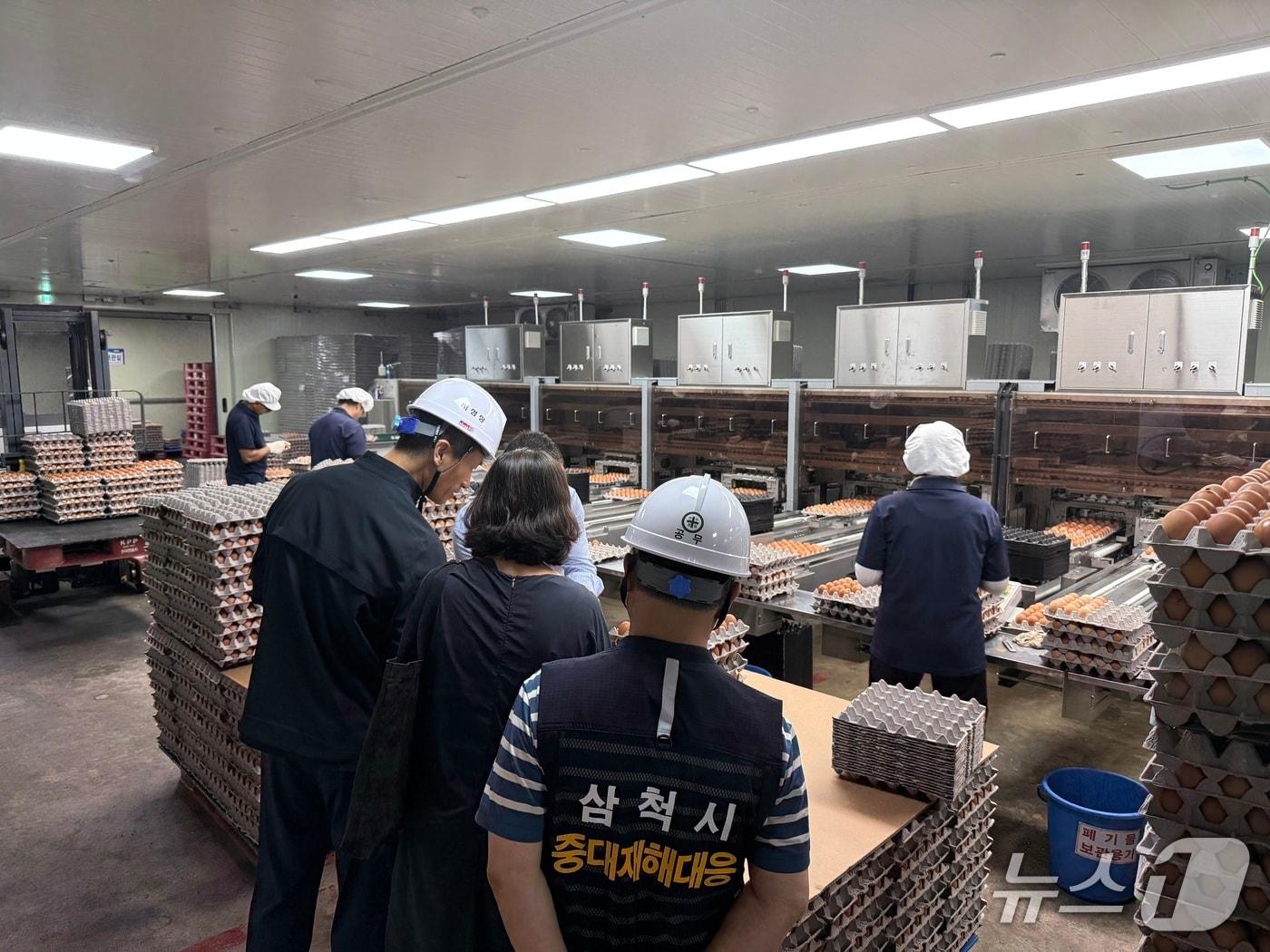 본문 이미지 - 폭염 대비 합동 긴급 점검.&#40;고용노동부 태백지청 제공. 재판매 및 DB금지&#41;/뉴스1