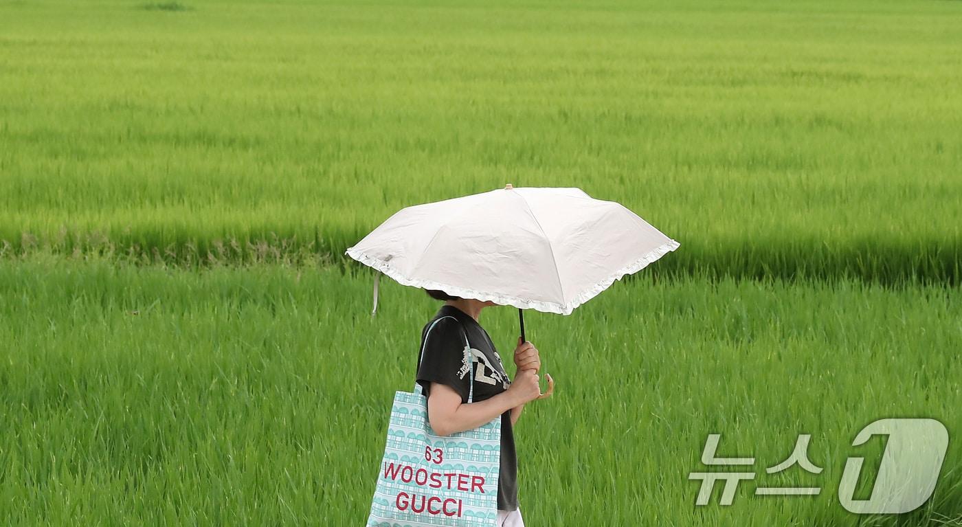 자료사진/뉴스1