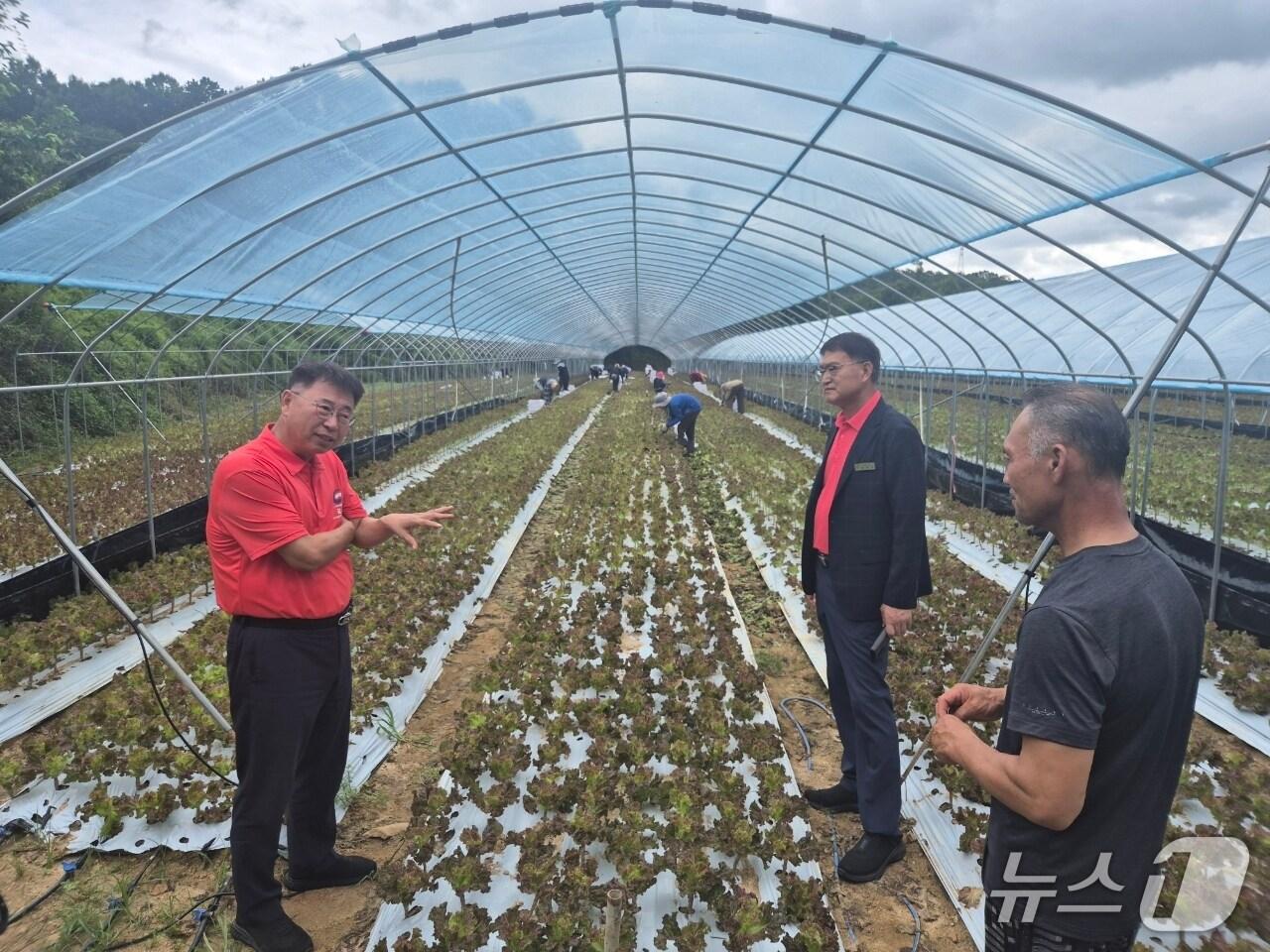 본문 이미지 - 금산군 외국인 계절근로자 현장 점검 모습(금산군 제공.재판매 및 DB 금지) /뉴스1