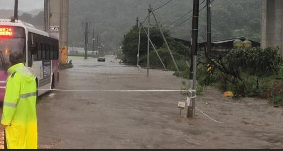 본문 이미지 - 세종시 전동면 청람리 시도 30호선 침수. (세종시 제공. 재판매 및 DB금지)