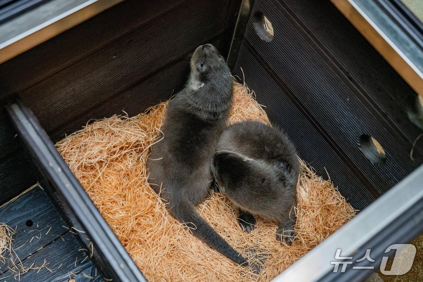  (서울시설공단 제공) 