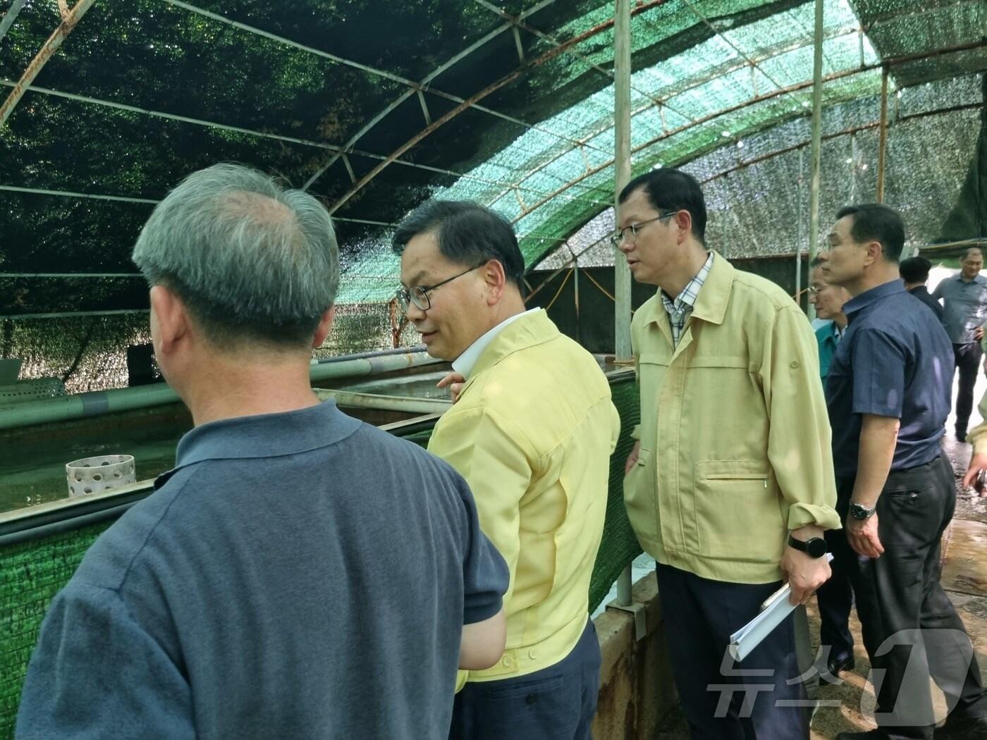 본문 이미지 - 경북도가 연일 이어지는 폭염으로 인해 동해안 해역에 고수온 주의보가 발령됨에 따라 피해 최소화를 위한 총력 대응에 나섰다. 사진은 지난 5일 포항시의 육상 강도다리 양식장을 방문해 고수온 대응 장비 작동 현황과 사육 관리 상황을 점검하는 모습.(경북도 제공. 재판매 및 DB 금지)ⓒ News1 김대벽기자