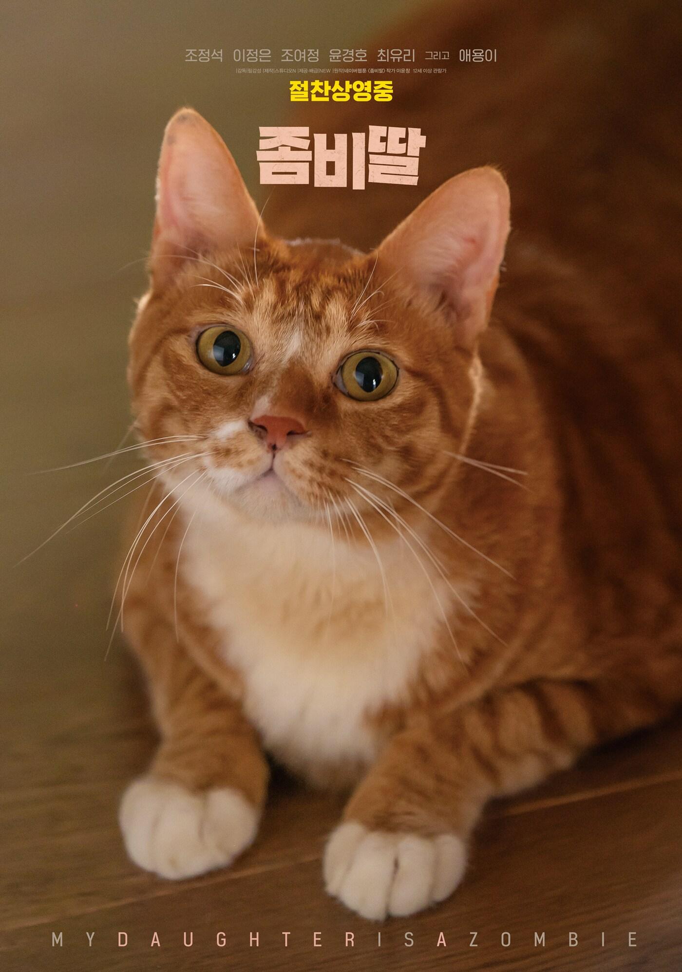 본문 이미지 - '좀비딸' 애용이 스페셜 포스터