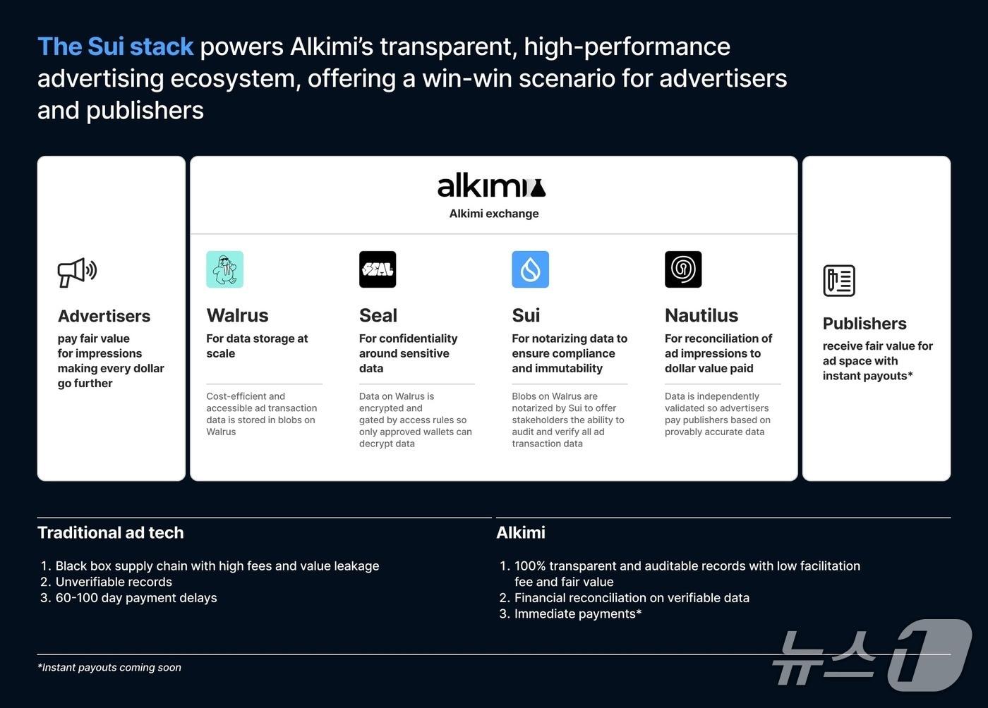 본문 이미지 - 수이 제공.