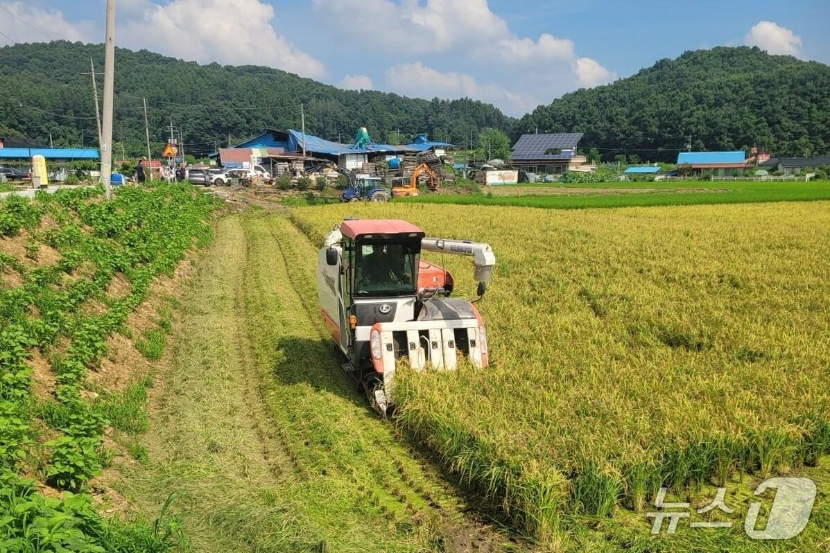 본문 이미지 -  충주 앙성면 윤병관 씨 농가 벼 베기 모습.(충주시 제공. 재판매 및 DB금지)/뉴스1