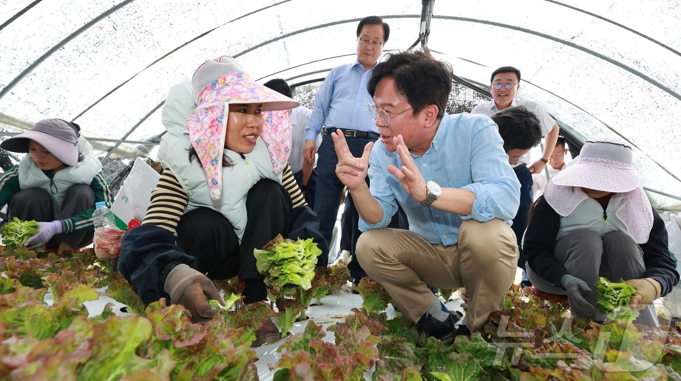 김영훈 고용노동부 장관이 지난 8월 전북 완주군 외국인 고용 농가를 방문하여 무더위 속 외국인 노동자들의 목소리를 청취하고 있다.&#40;고용노동부 제공. 재판매 및 DB 금지&#41; 2025.8.8/뉴스1