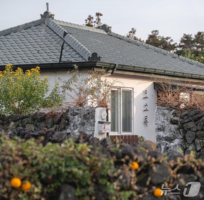 본문 이미지 - 제주시 애월읍 하가리에 있는 독채 펜션 '오소록'.(오소록 제공, 재판매 및 DB 금지)