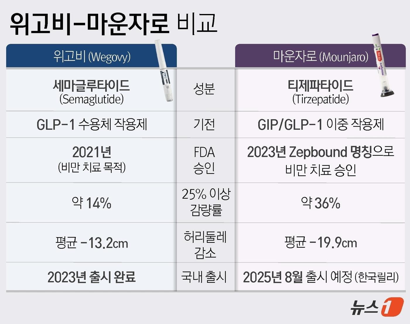 본문 이미지 - ⓒ News1 윤주희 디자이너