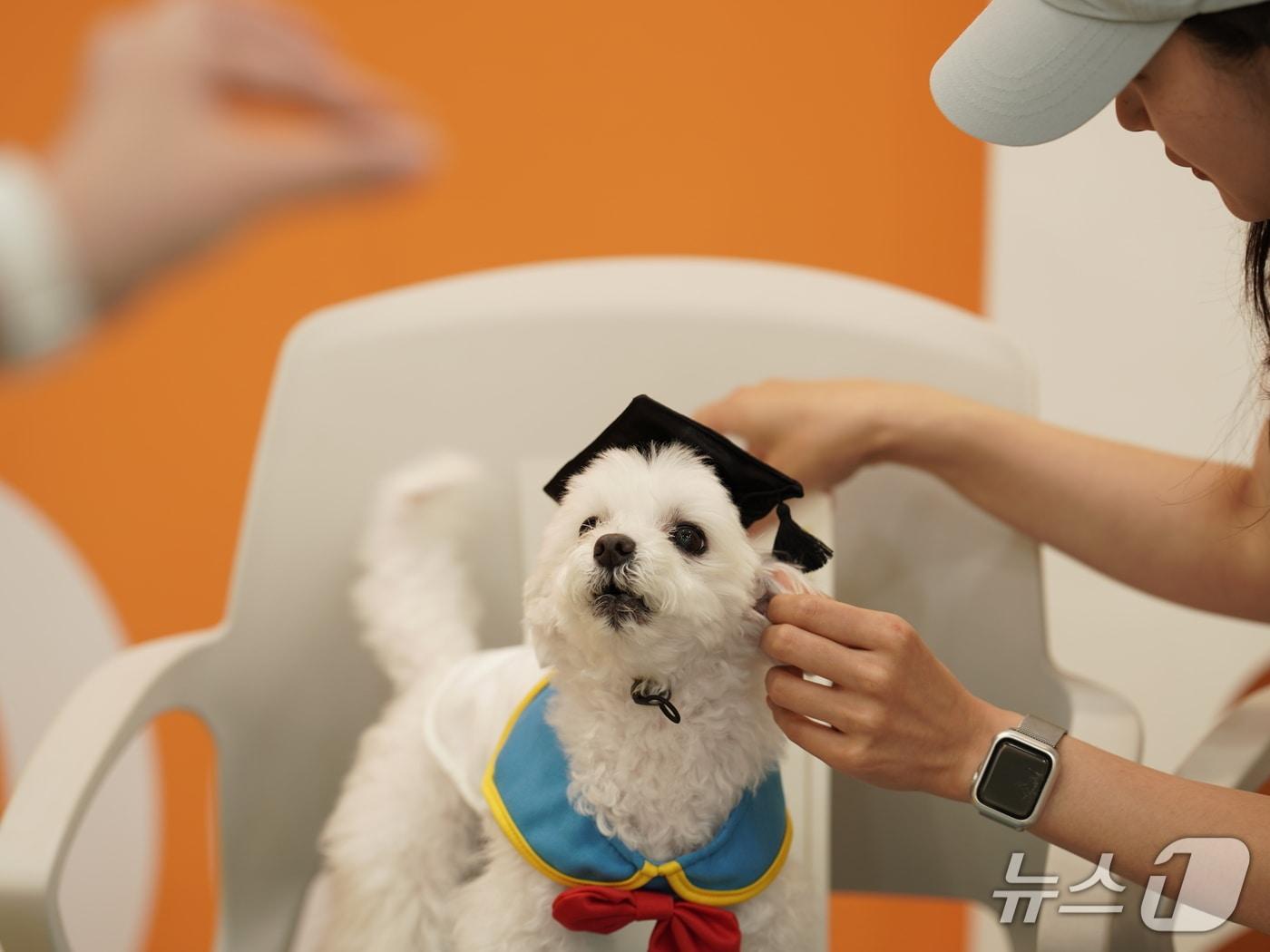 본문 이미지 - 반려동물 시민학교 수료식 모습.&#40;서울시 제공&#41;