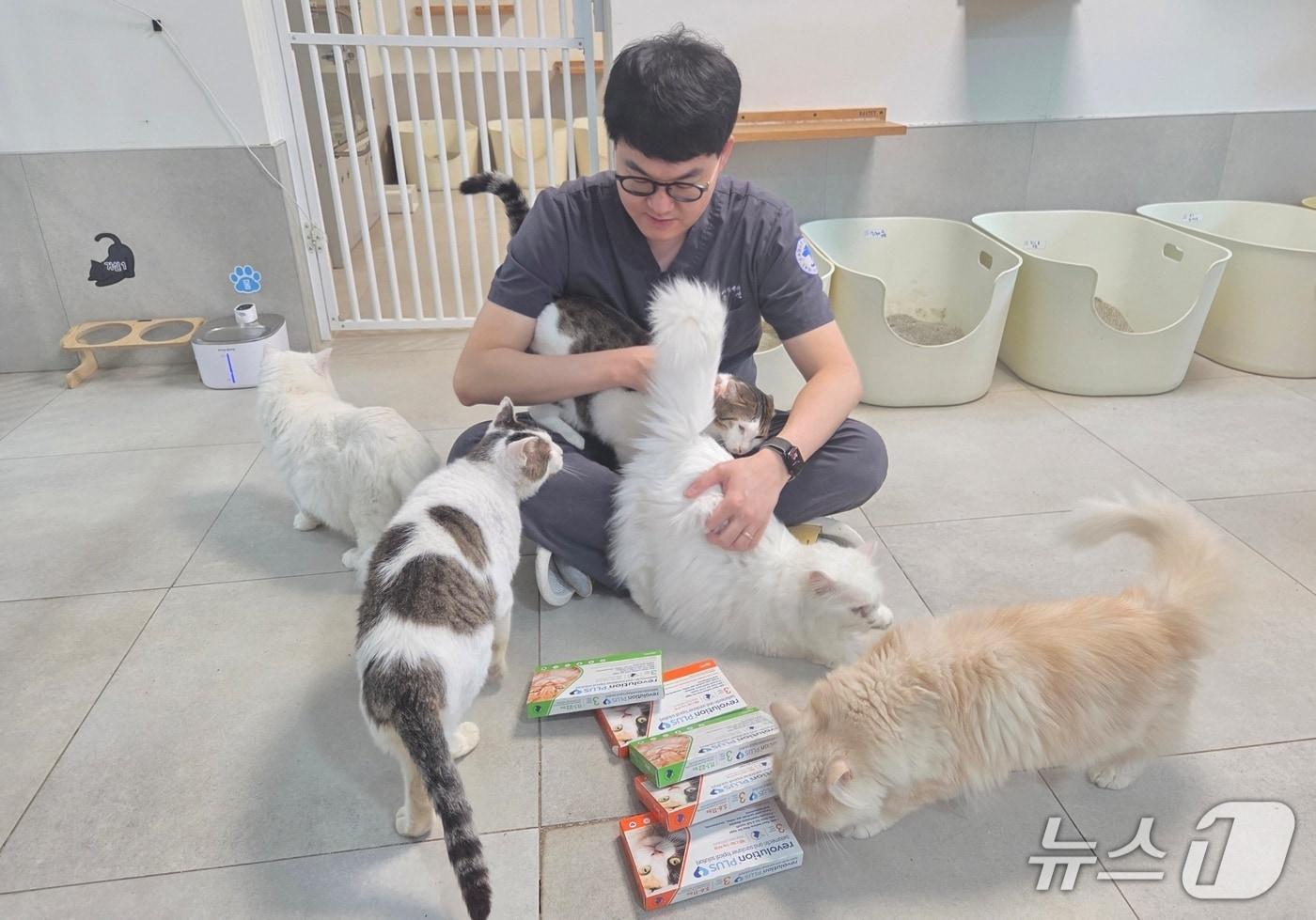 인천스카이동물메디컬센터는 9일 나비야사랑해에서 의료 봉사활동을 진행했다&#40;동물병원 제공&#41;. ⓒ 뉴스1