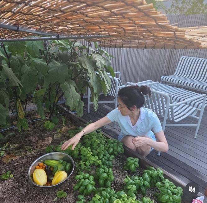 본문 이미지 - 이영애 인스타그램