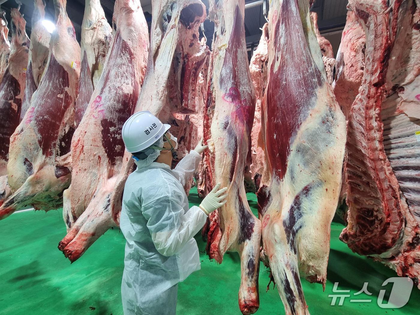 본문 이미지 - 경남도 관계자가 도내 축산물 취급업소에서 위생점검을 하고 있다.(경남도 제공. 재판매 및 DB금지)