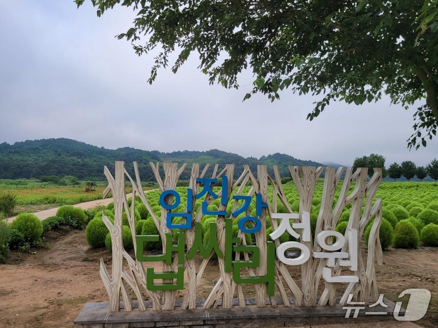 본문 이미지 - 1일 개장해 다음달까지 무료로 개방되는 연천군 '임진강 댑싸리 정원' (연천군 제공, 재판매 및 DB금지)