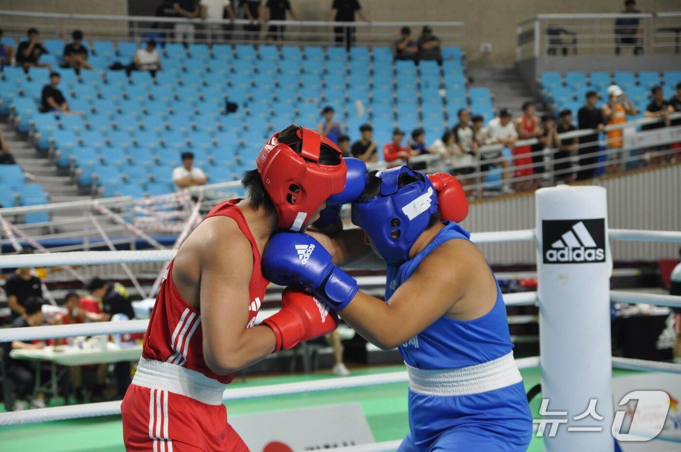 대통령배 전국시도복싱대회(제주도 제공. 재판매 및 DB금지)/뉴스1 