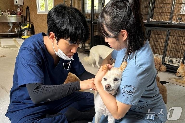 본문 이미지 - 스탠다드동물의료센터는 최근 동물보호소에 용품을 후원하고 봉사활동을 진행했다(동물병원 제공). ⓒ 뉴스1